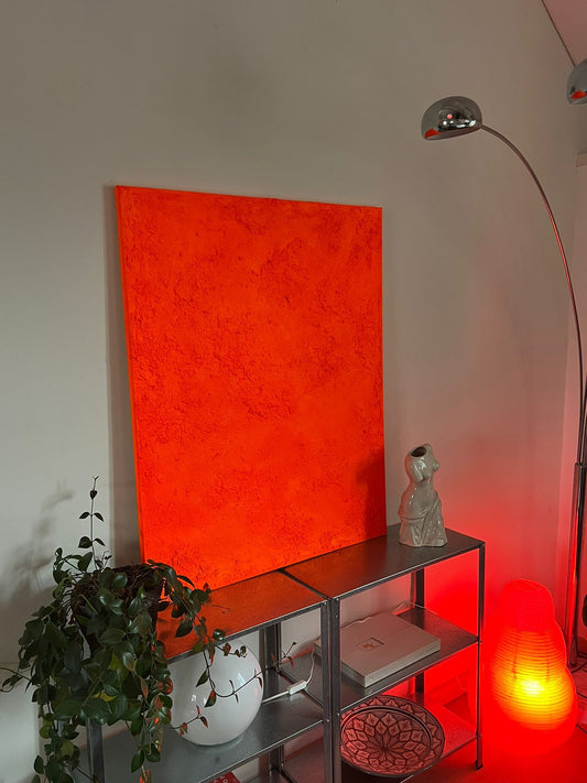 neon collection - fulgor